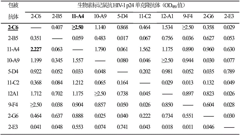 Kit for detecting HIV-1 p24 antigen and application of kit