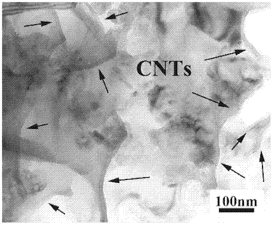 Preparation method of high-volume-fraction carbon-nanotube-enhanced metal-based composite material