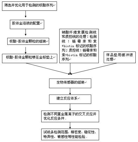 Nucleic acid nano-Au biosensor for detecting lead ions and preparation method thereof