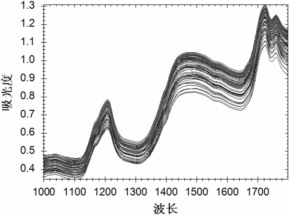 Near-infrared detection method for peanut quality and application