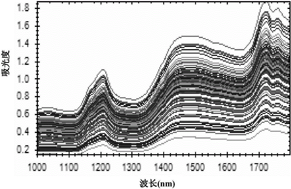 Near-infrared detection method for peanut quality and application