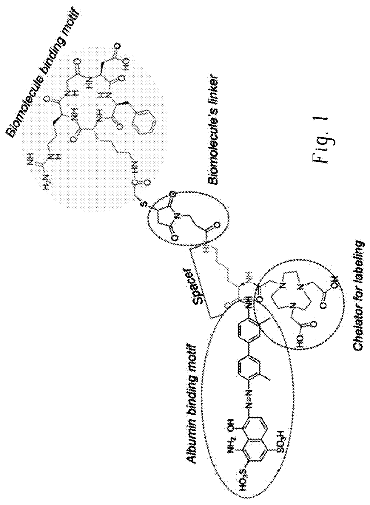 Chemical conjugates of evans blue derivatives and their use as radiotherapy and imaging agents