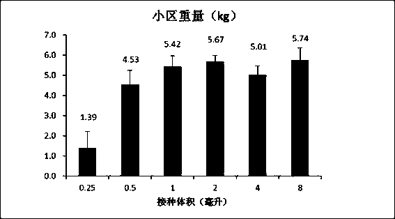 A kind of corn mushroom production method and product