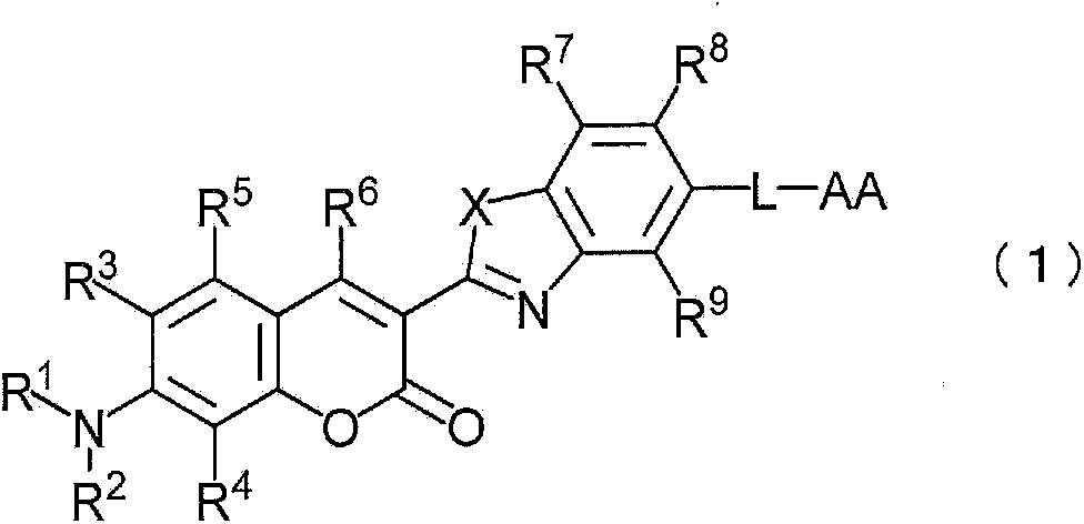 Colored curable resin composition