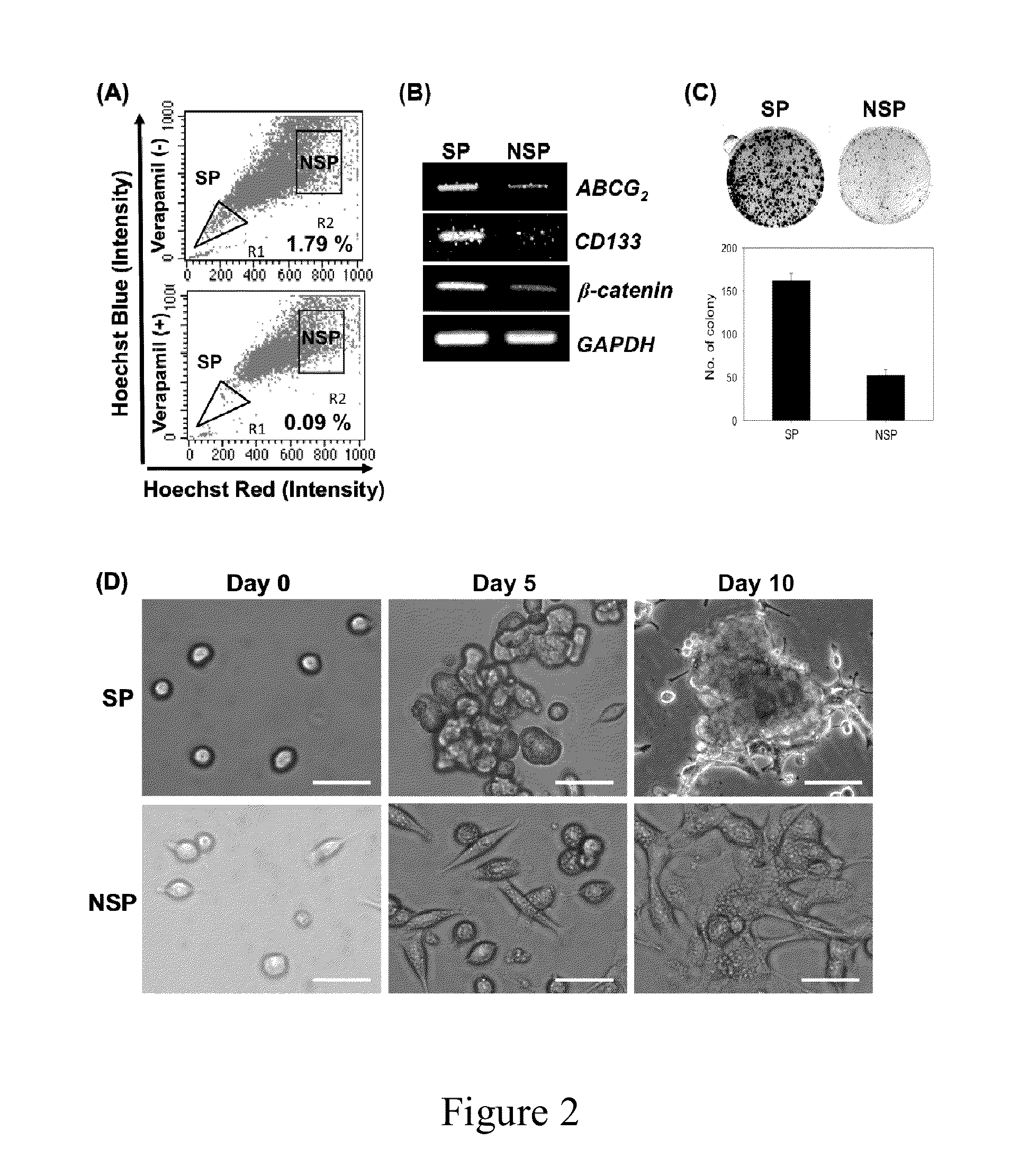 Method for inhibiting the growth of cancer stem cell