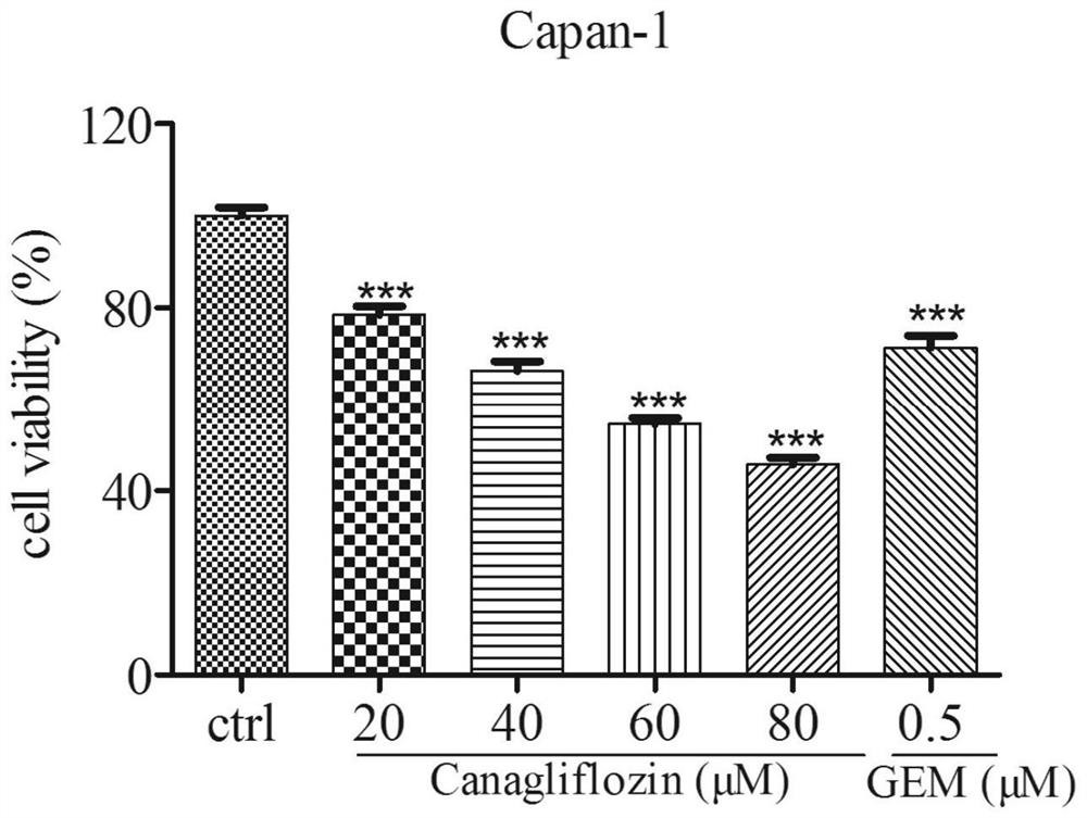 Application of canagliflozin in treatment of pancreatic cancer