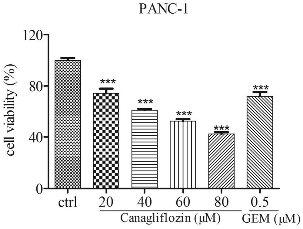 Application of canagliflozin in treatment of pancreatic cancer