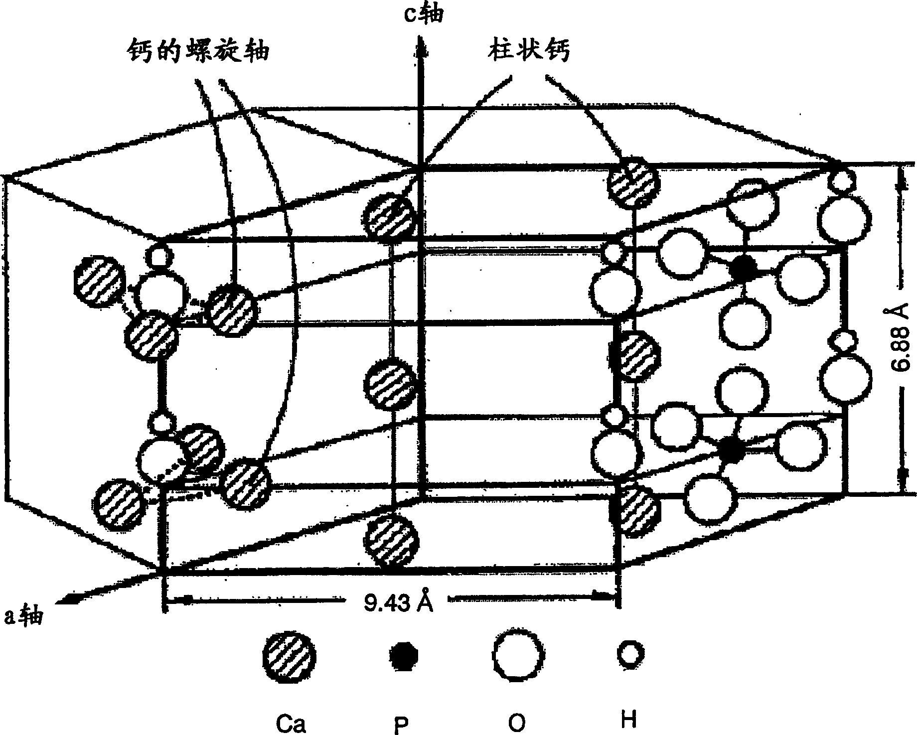 Apatite-containing film and production process therefor