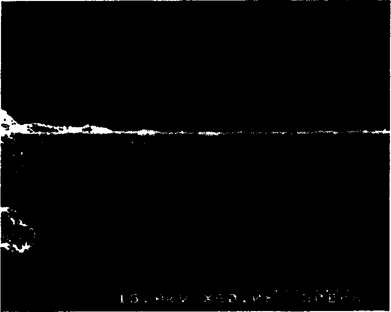 Apatite-containing film and production process therefor