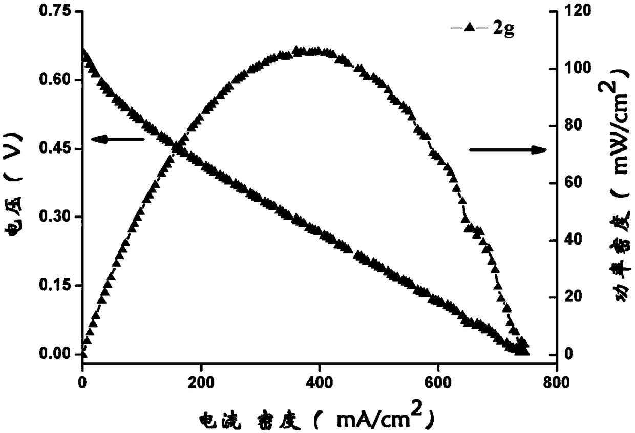 A biomass flow fuel cell system