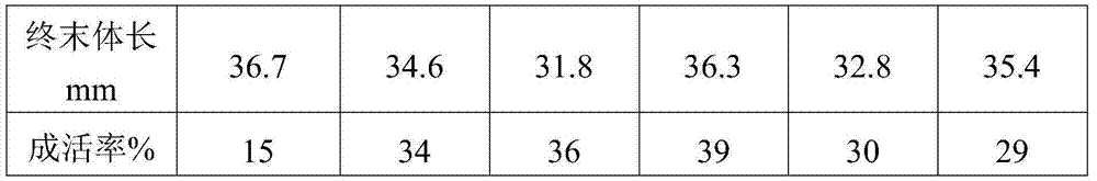 Microparticle feed for grouper fries and preparation method for microparticle feed