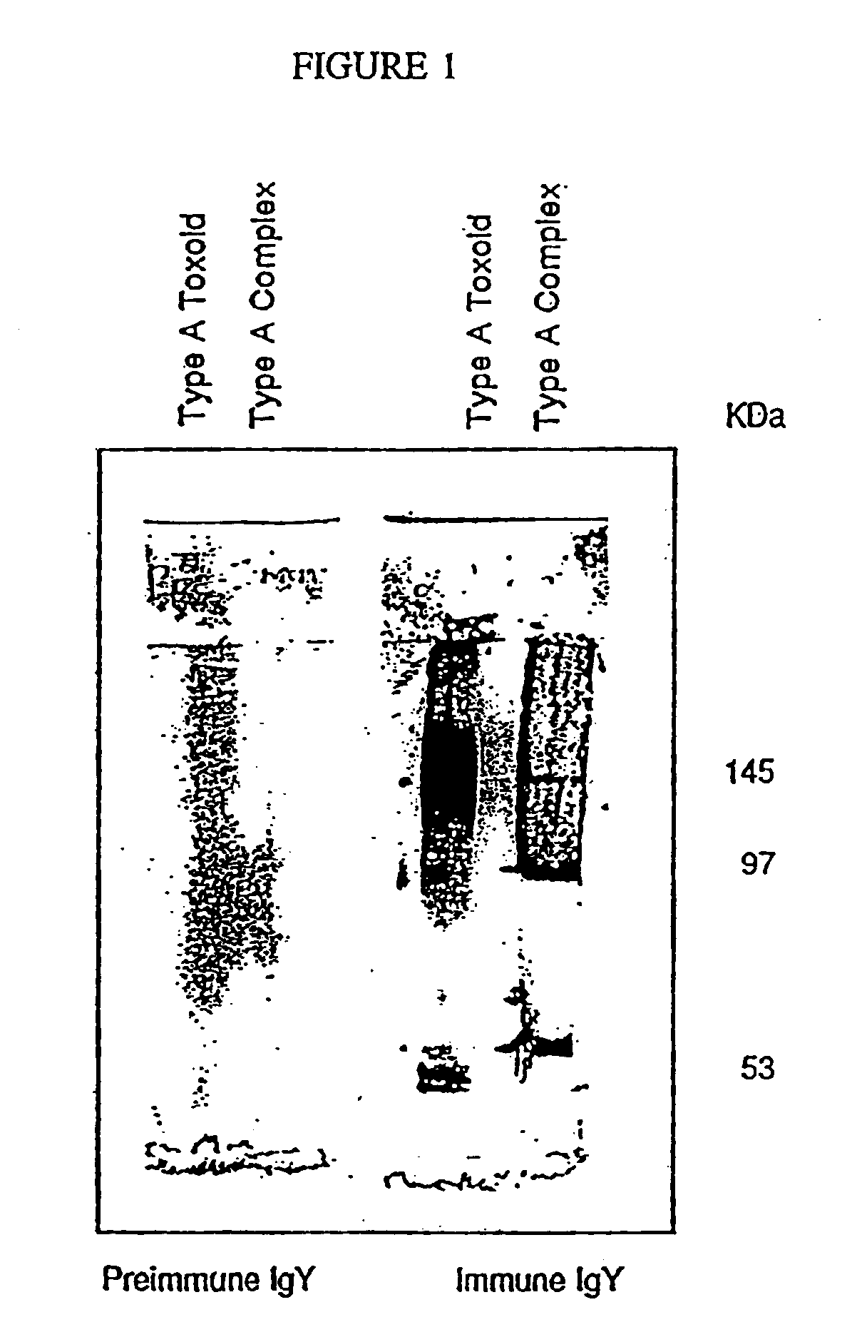 Soluble recombinant botulinum toxin proteins