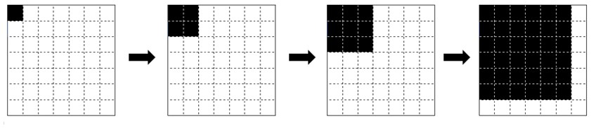 Urinary erythrocyte multifocal video acquisition method and system