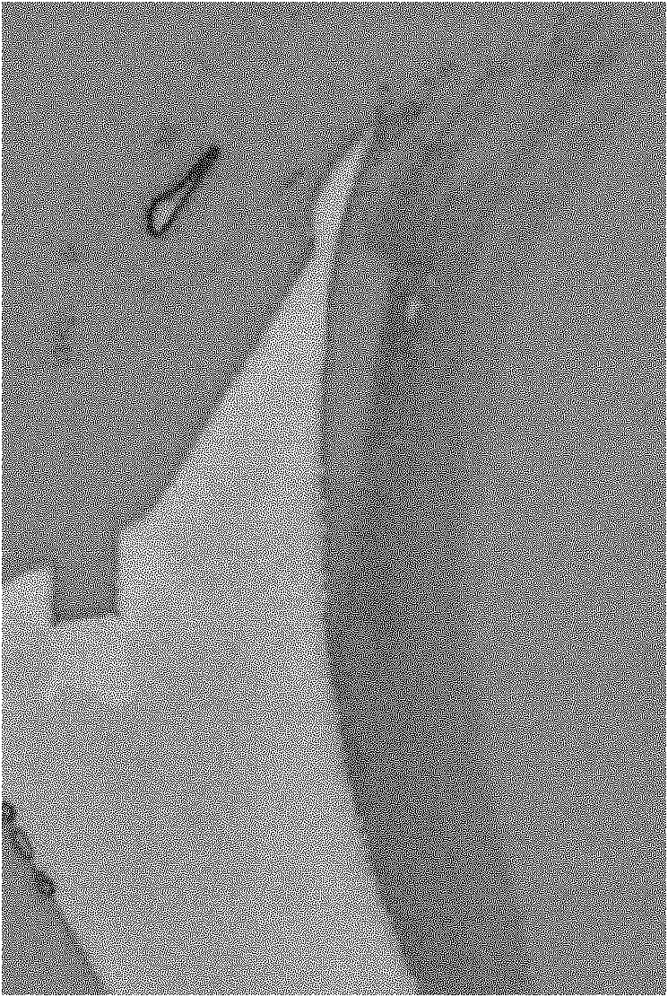 Graphene sheet intercalation compound preparation method and in situ microRaman representation system