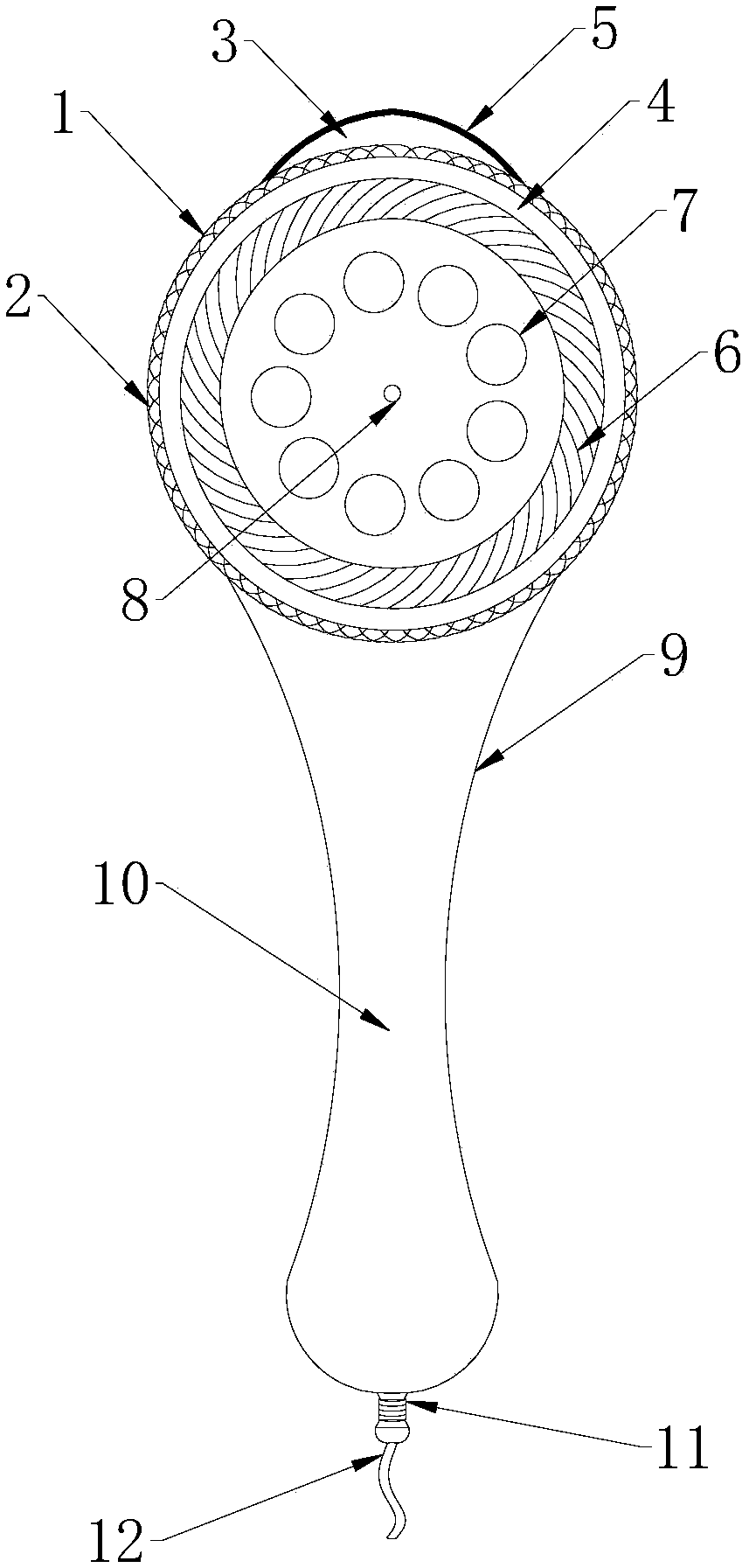 Plate polishing device