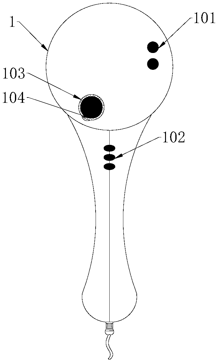 Plate polishing device