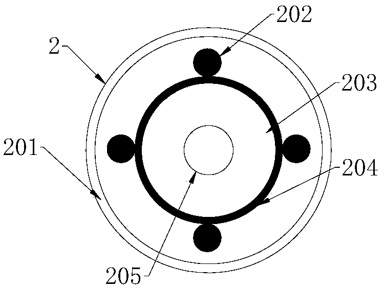 Plate polishing device