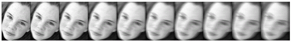 Image fuzziness assessment method based on quaternary phase congruency model