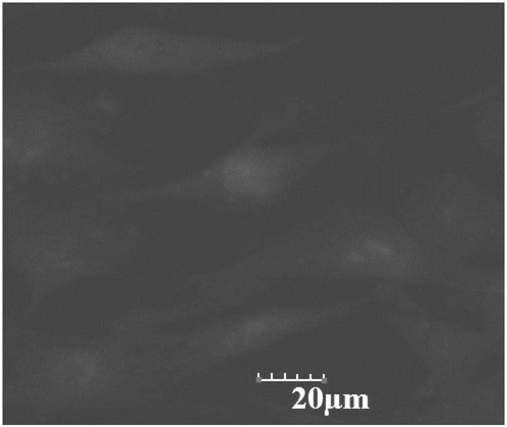 Method for preparing silver sulfide nanocrystalline with near infrared fluorescence using one-step aqueous phase process