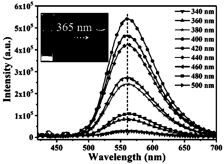 Boron-nitrogen co-doped carbon quantum dot as well as preparation and application thereof