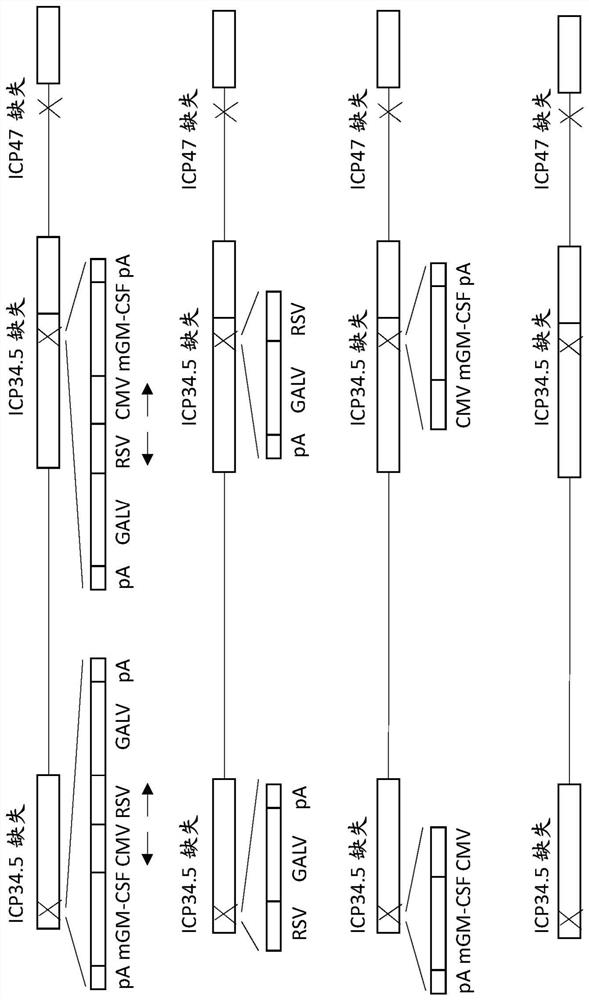 Treatment using oncolytic virus