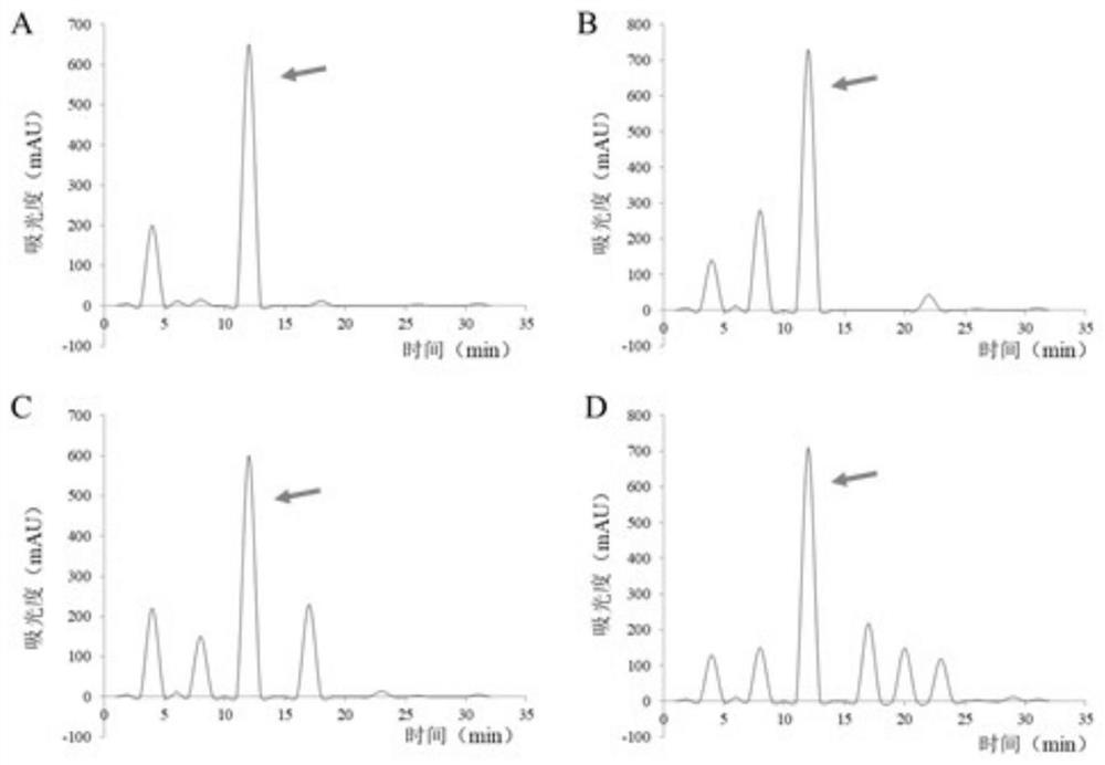 Eye mask nutrient layer containing Periplaneta americana extract and preparation method thereof