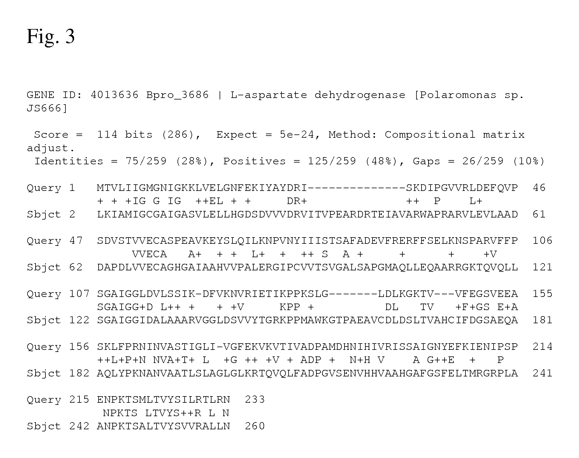 Bacterium of enterobacteriaceae family producing L-aspartic acid or L-aspartic acid-derived metabolites and a method for producing L-aspartic acid or L-aspartic acid-derived metabolites