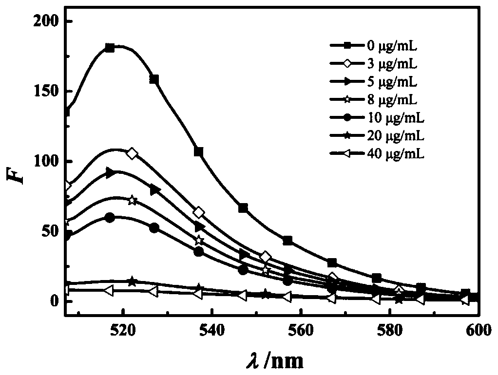 Fluorescence method for detecting brain natriuretic peptide based on graphene oxide/nucleic acid aptamer