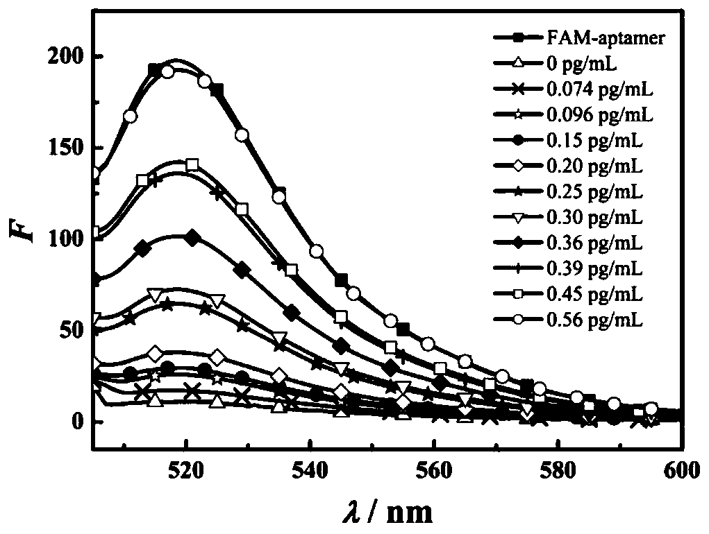 Fluorescence method for detecting brain natriuretic peptide based on graphene oxide/nucleic acid aptamer