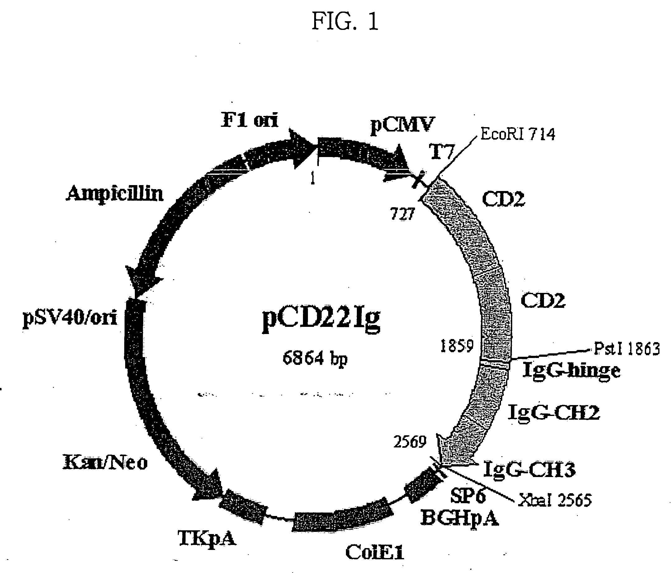 Pharmaceutical composition for treatment of immunological disorders