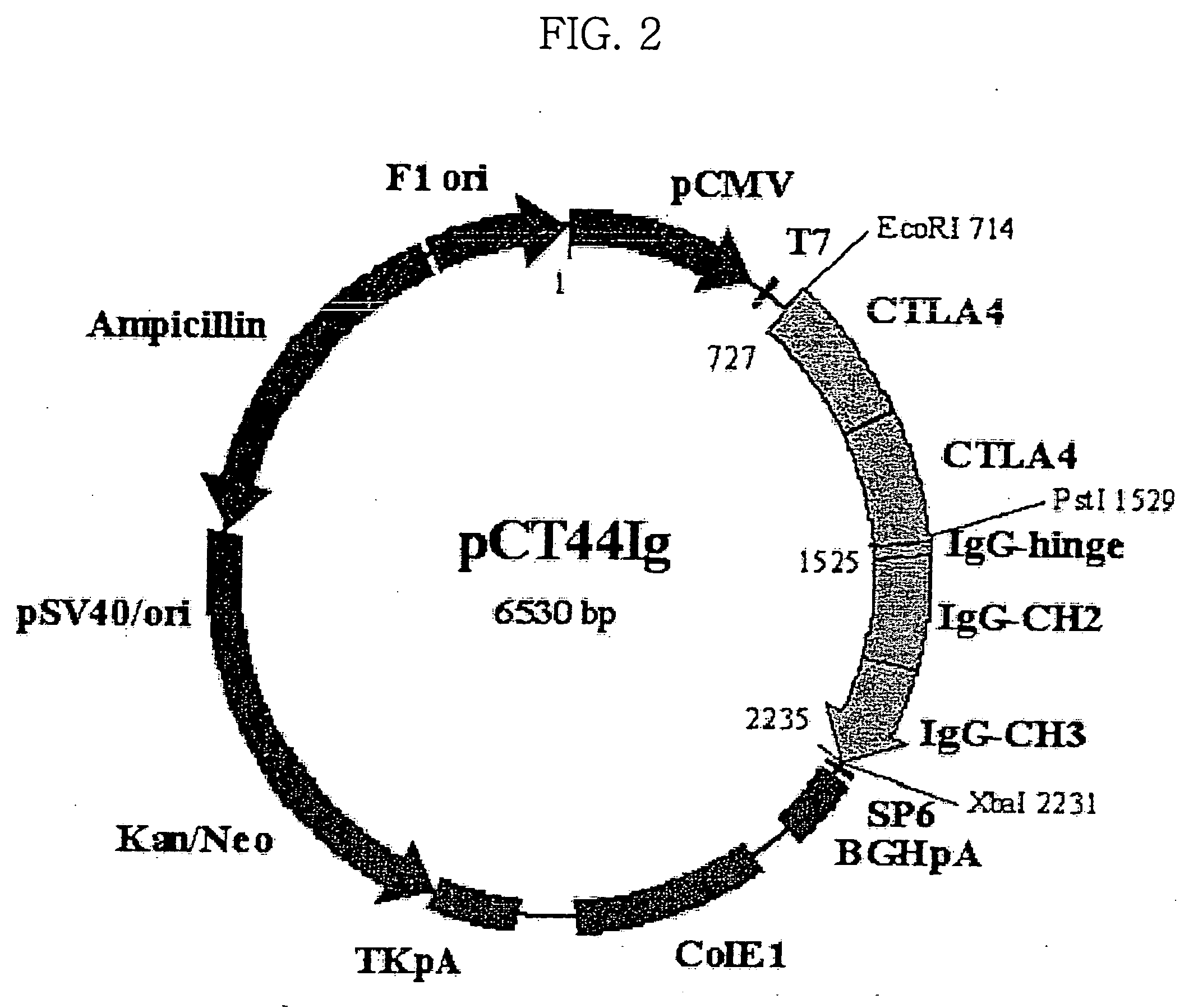 Pharmaceutical composition for treatment of immunological disorders