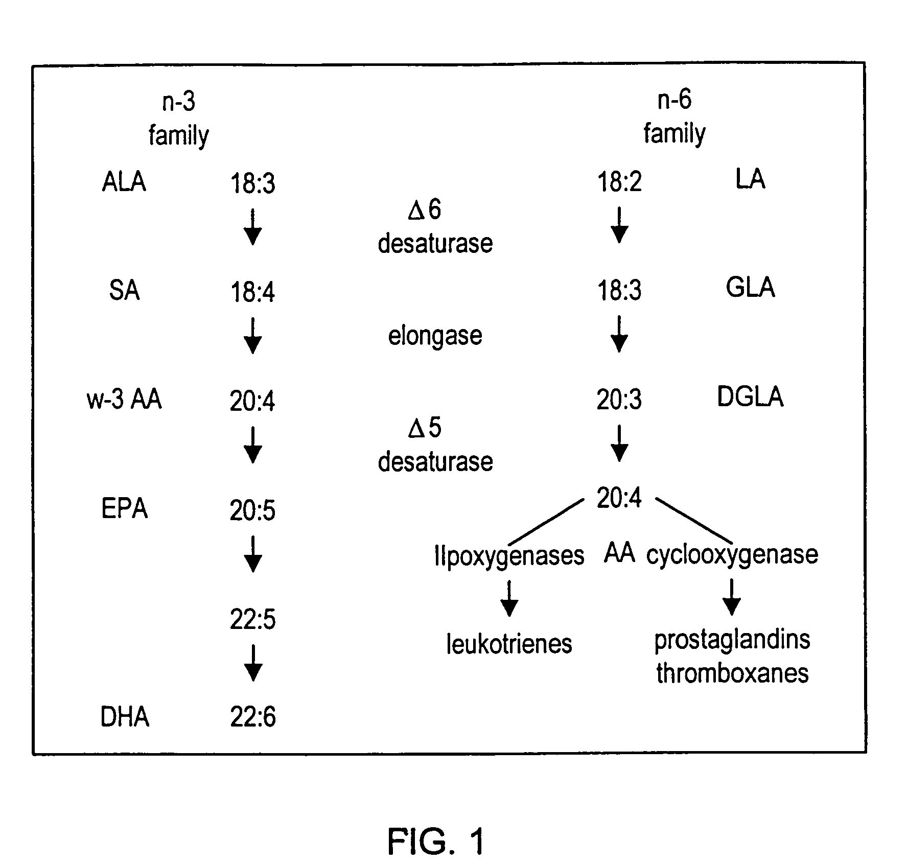 Dietary control of arachidonic acid metabolism