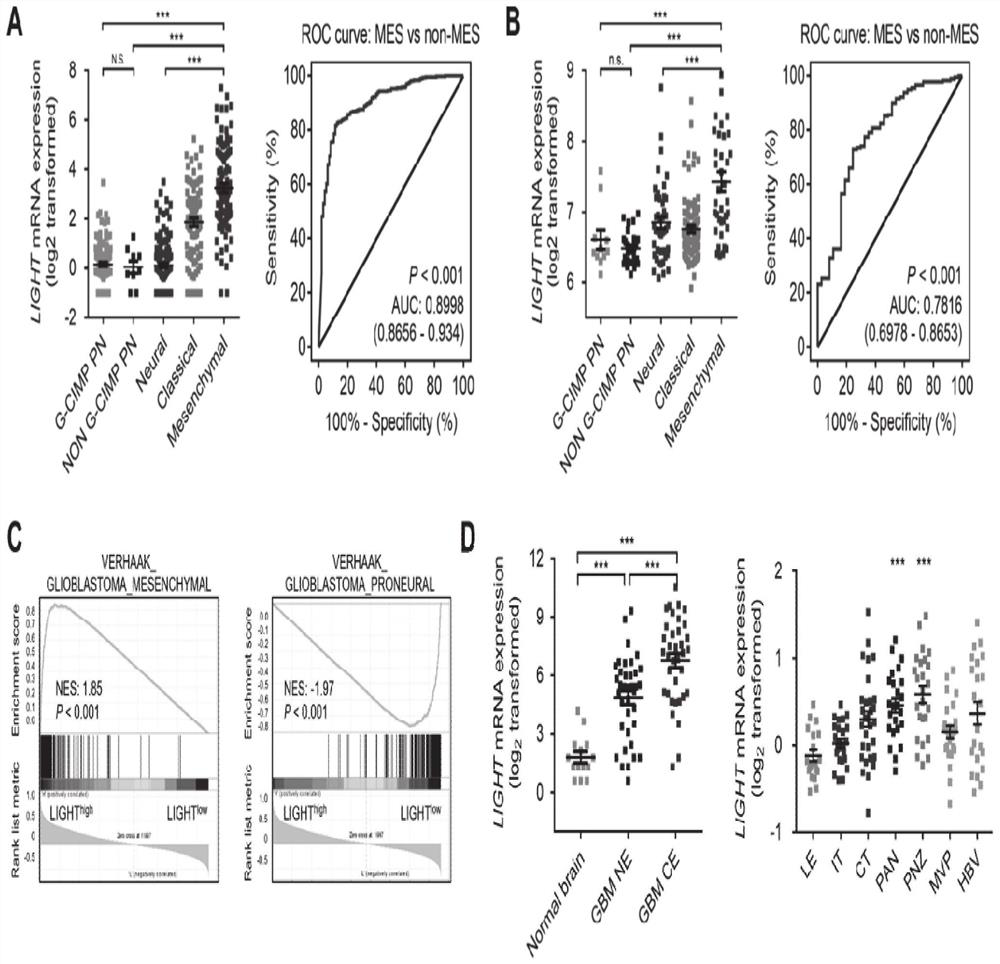 Application of LIGHT to diagnosis and treatment of glioma