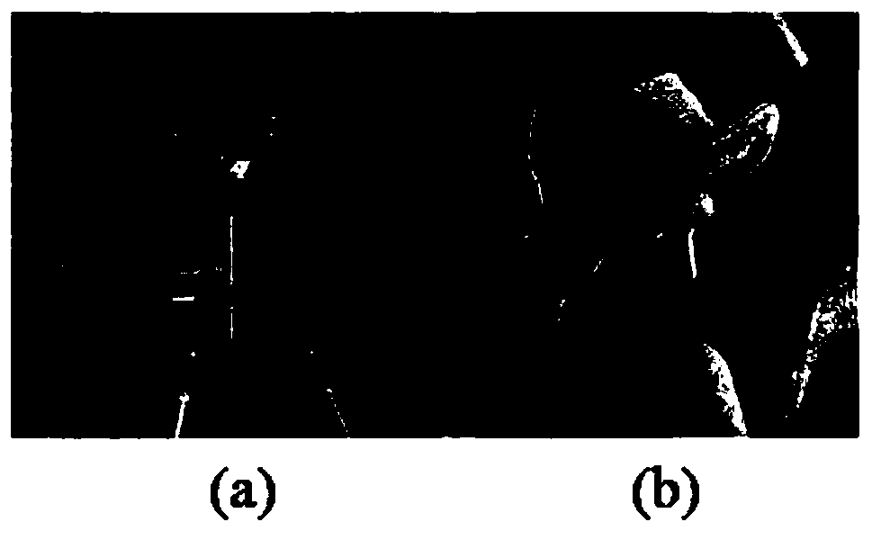 Design method of diffractive optical element with high diffraction efficiency and low speckle noise