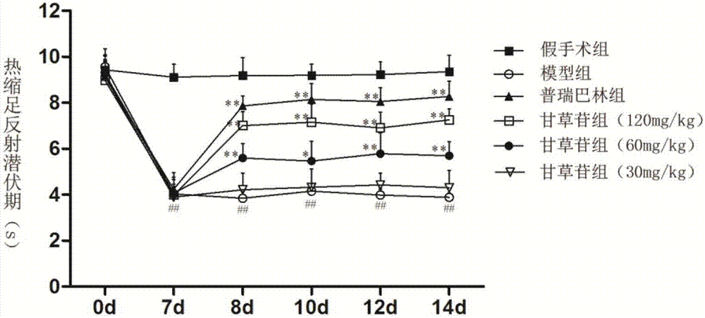 Pharmaceutical purpose of liquirtin treating neuropathic pain