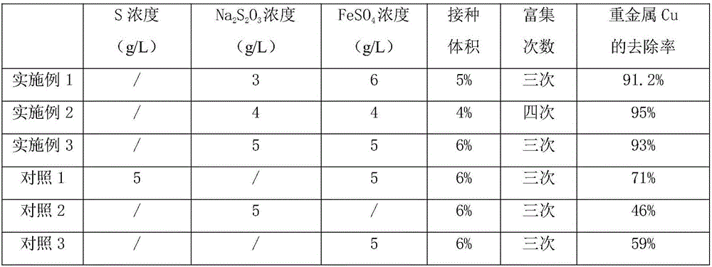 Method for removing heavy metal Cu in sludge of urban sewage treatment plant in bioleaching mode