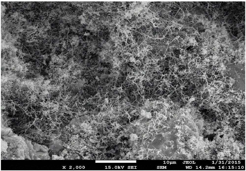 Silicon carbide whisker in-situ composite corundum high-temperature ceramic material and preparation method thereof