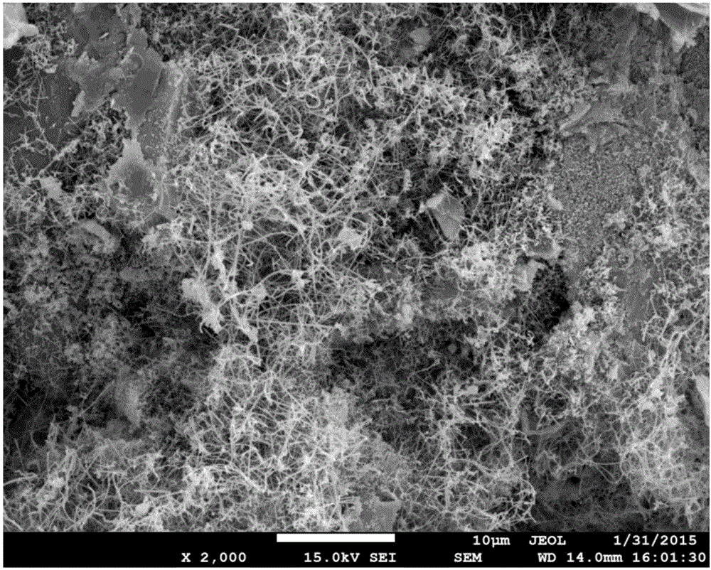 Silicon carbide whisker in-situ composite corundum high-temperature ceramic material and preparation method thereof