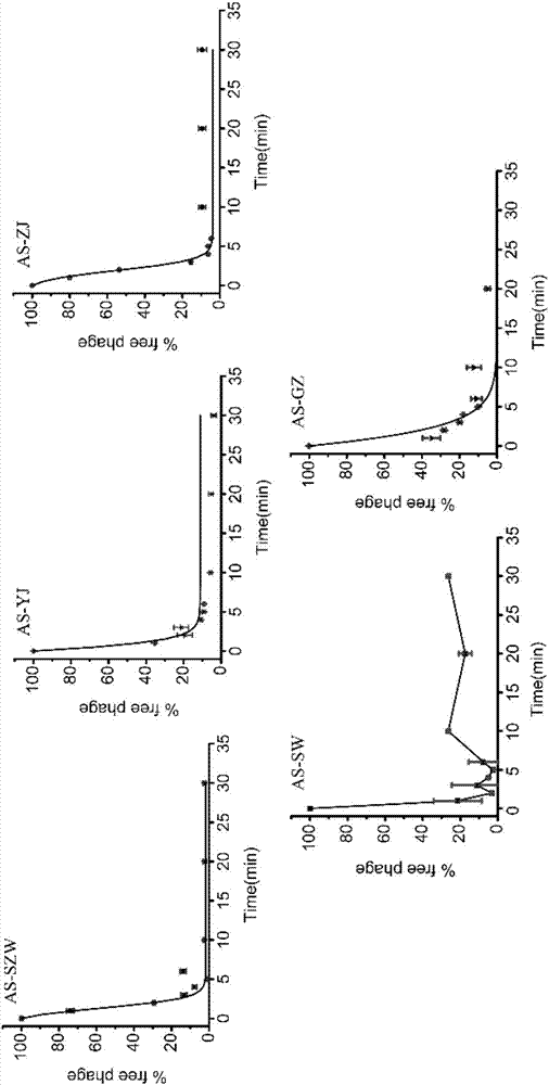 Aeromonas salmonicida bacteriophage, sterilization composition with same and application of same