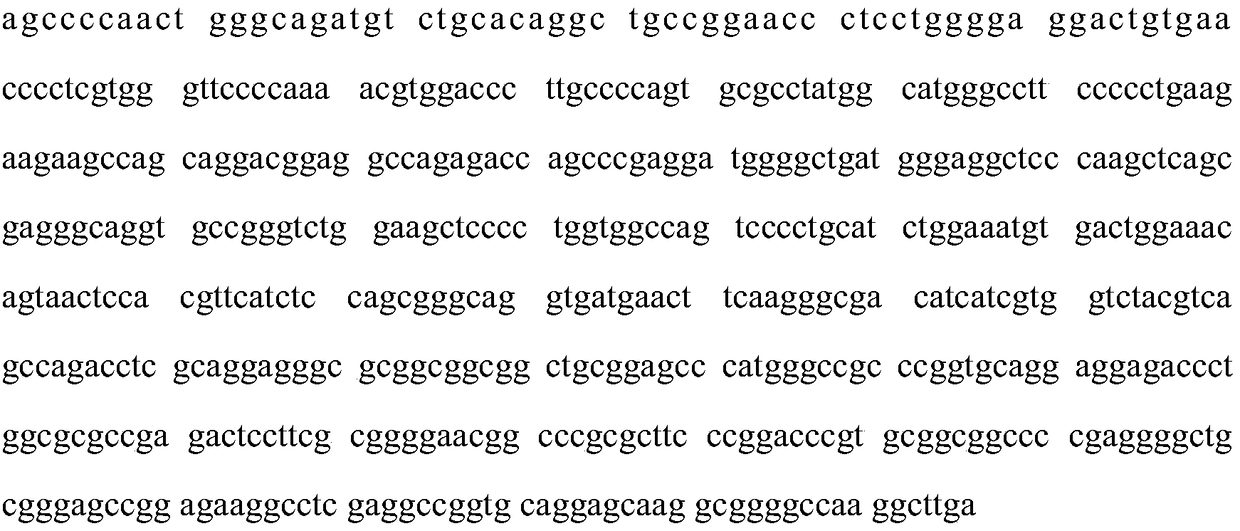 In vitro test tool and method for evaluating biological activity of RANKL target spot compound