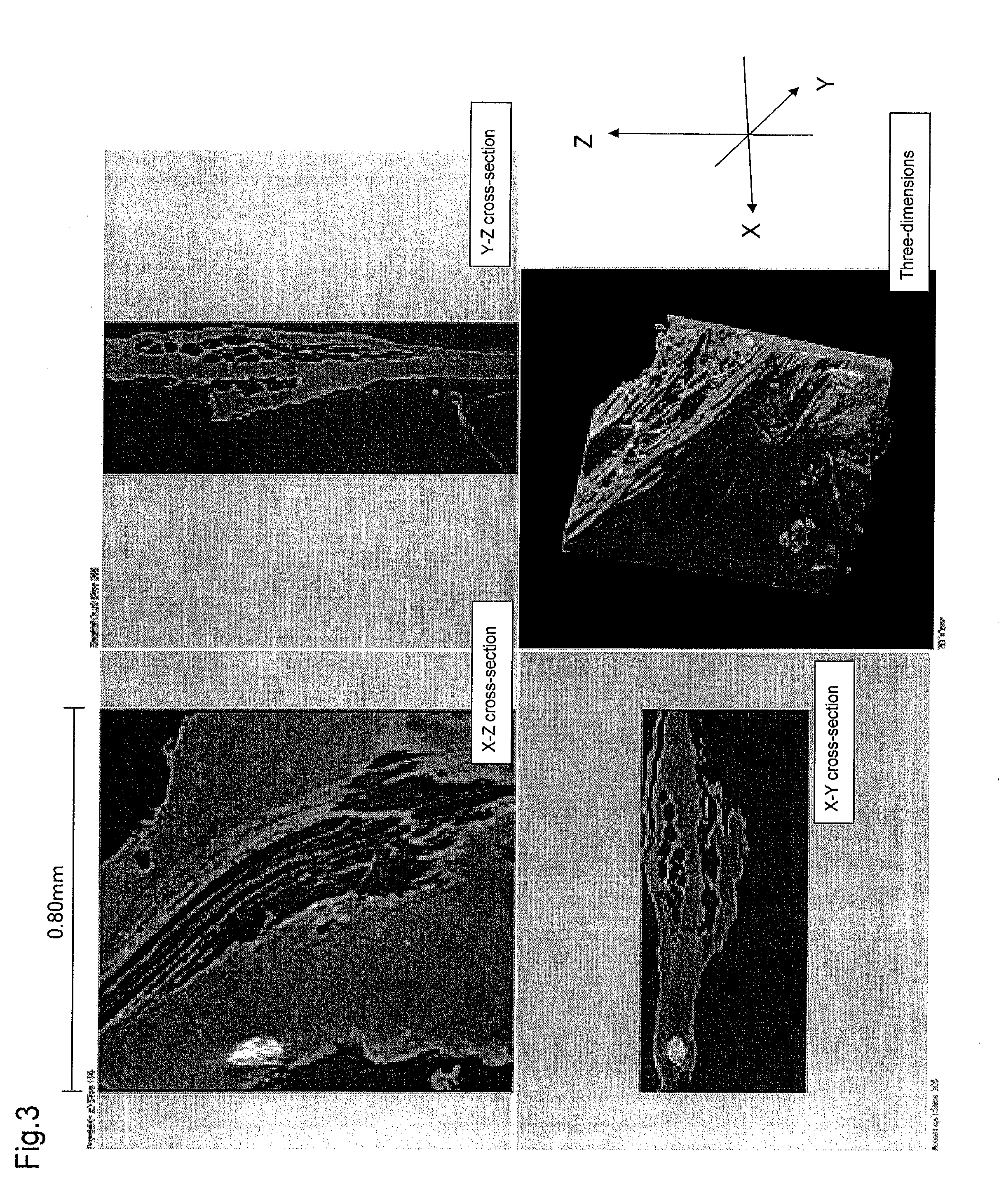 Method for manufacturing aloe powder