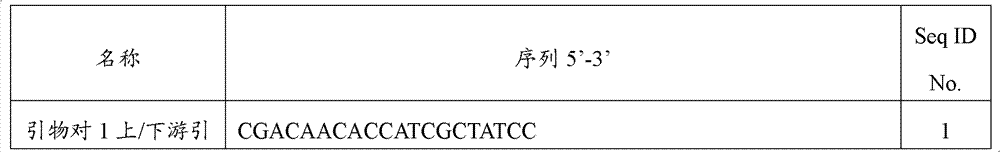 Primer and method for PCR-DHPLC (polymerase chain reaction-denaturing high-performance liquid chromatography) detection for endogenous genes of wheat