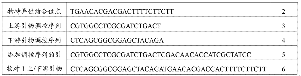 Primer and method for PCR-DHPLC (polymerase chain reaction-denaturing high-performance liquid chromatography) detection for endogenous genes of wheat