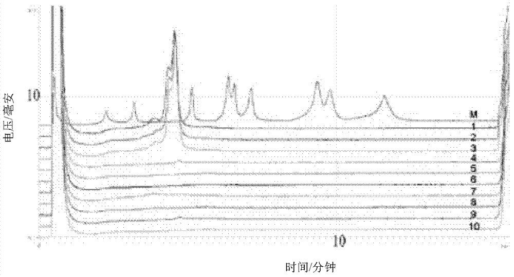 Primer and method for PCR-DHPLC (polymerase chain reaction-denaturing high-performance liquid chromatography) detection for endogenous genes of wheat