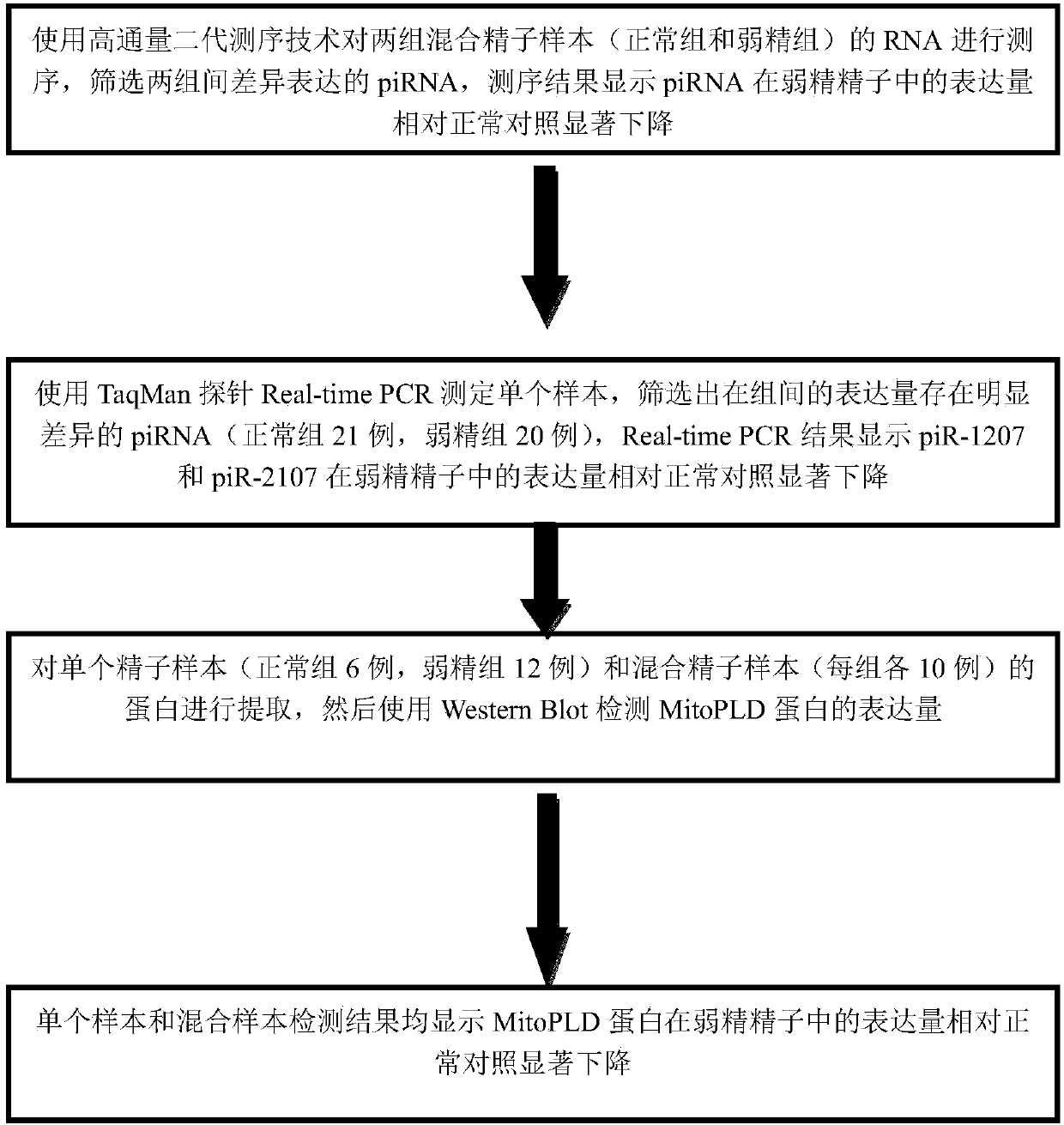 Sperm piRNA and sperm protein MitoPLD as biomarkers for detecting and predicting male infertility