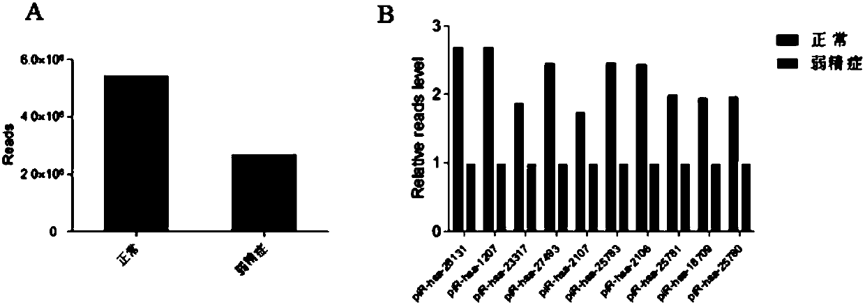 Sperm piRNA and sperm protein MitoPLD as biomarkers for detecting and predicting male infertility