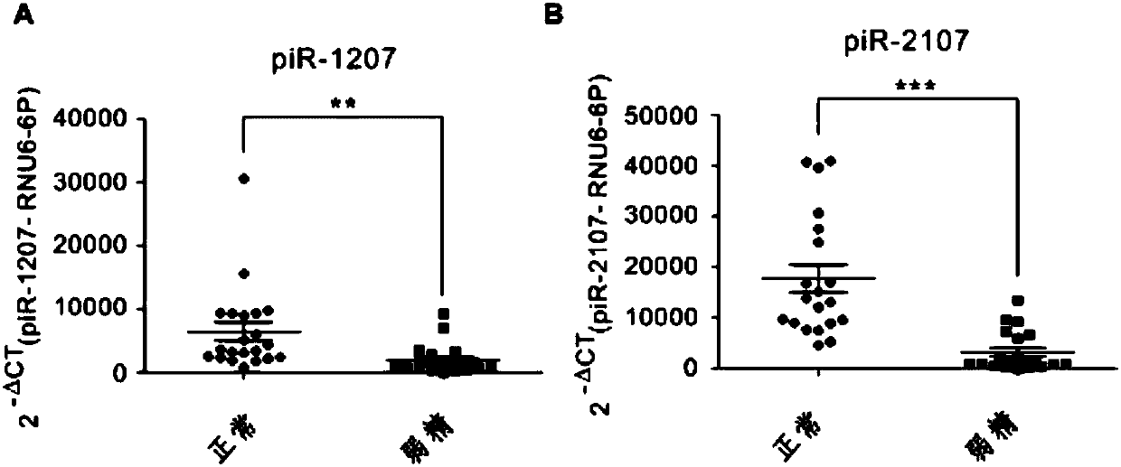 Sperm piRNA and sperm protein MitoPLD as biomarkers for detecting and predicting male infertility