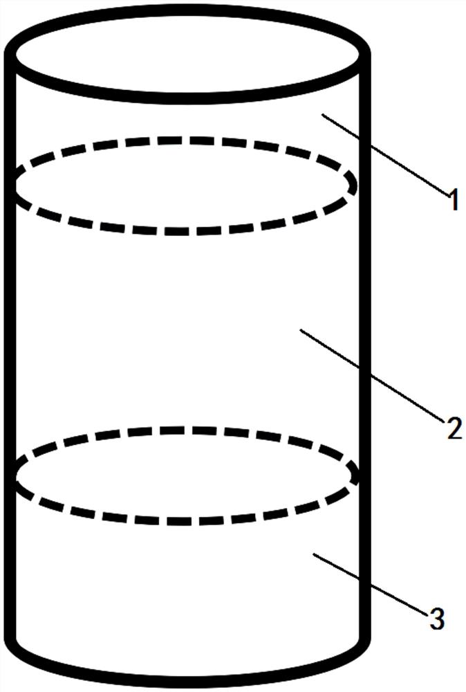 A device for establishing an animal model of silicosis and its evaluation method