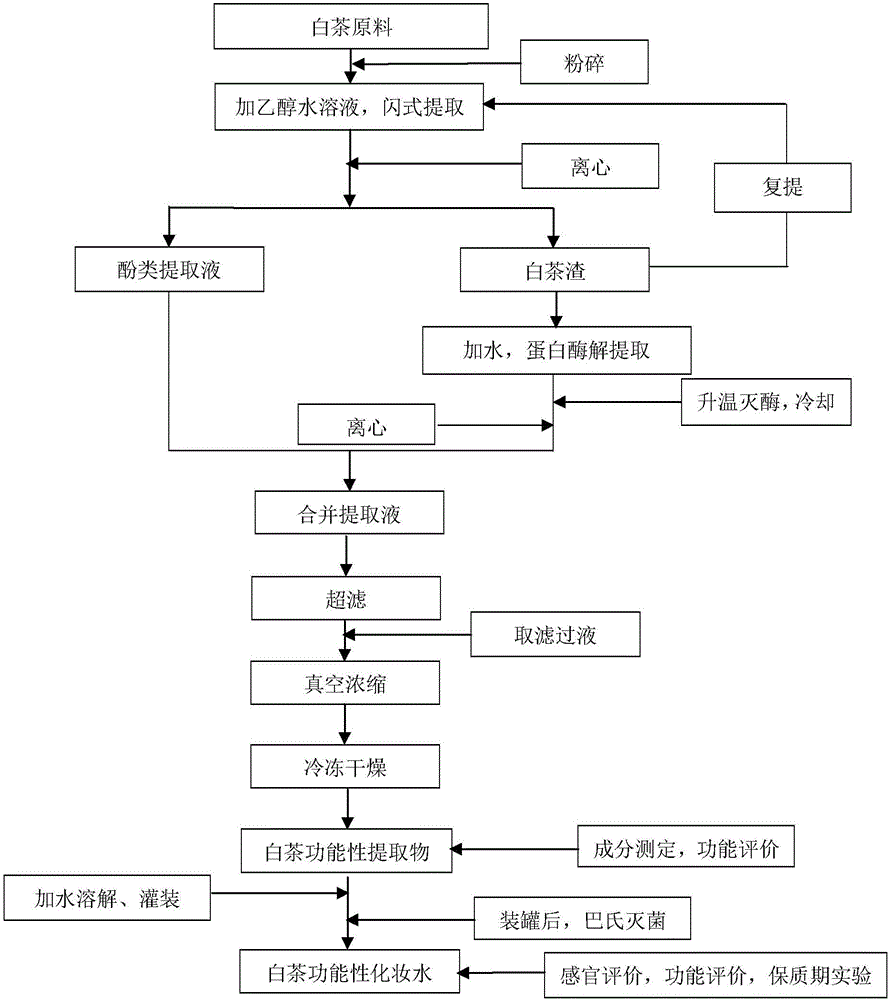 White tea extract and preparation method and application thereof