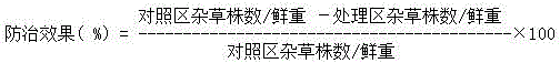 Weeding composition containing isoxaflutole and imazapic and application of weeding composition